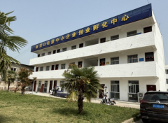 婷望着斑驳的地面说：“我们打算向区教体局争